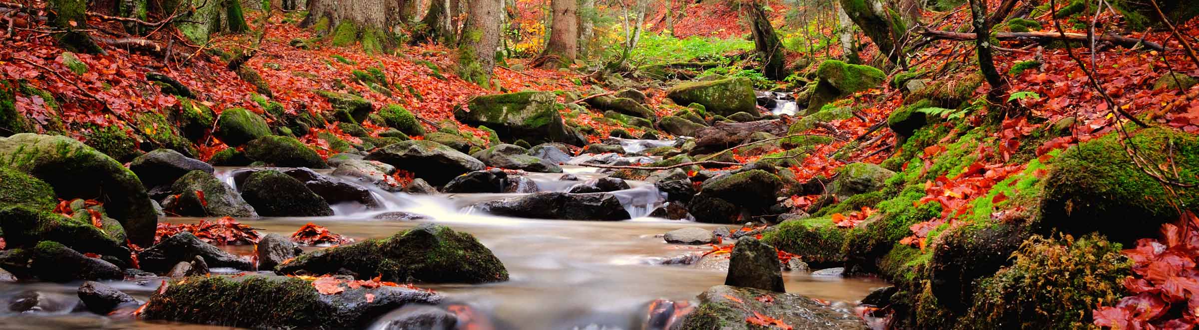 river in the fall with moss rocks